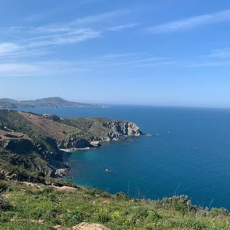 Vue 2-4 P Apartment Cerbère